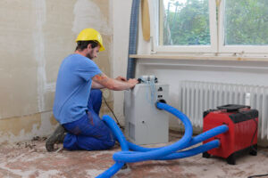 Achieving Optimal Humidity Control in Your Home: The Benefits of Whole House Dehumidifiers