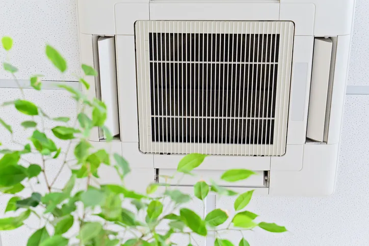 Indoor Air Quality in Spring Valley, NV, and Surrounding Areas
